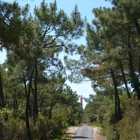 Bed and Breakfast La Pinede