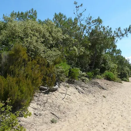 La Pinede * La Palmyre