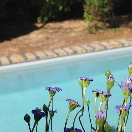 La Pinede Bed and Breakfast La Palmyre