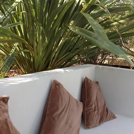 La Pinede * La Palmyre