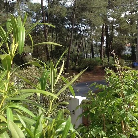 La Pinede Bed and Breakfast *