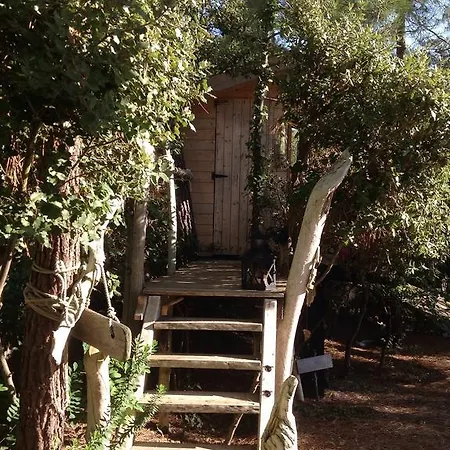 Bed and Breakfast La Pinede